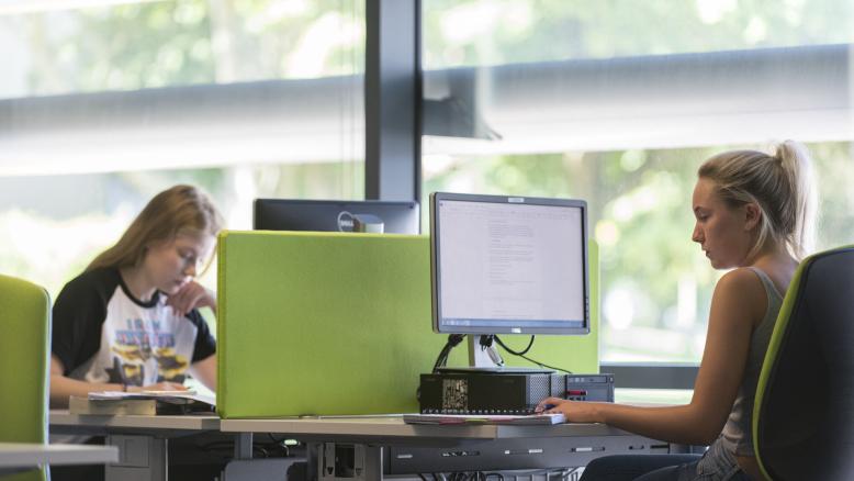 students studying in quiet study area in Library