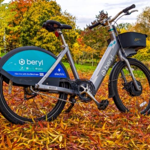 A bike parked on autumn leaves on campus
